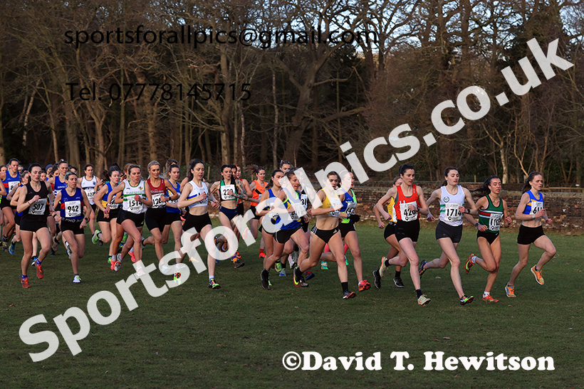 Senior womens 2025 Northern Cross Country Champs, Tatton Park, Knutsford, Cheshire. Photo: David T. Hewitson/Sports for All Pics